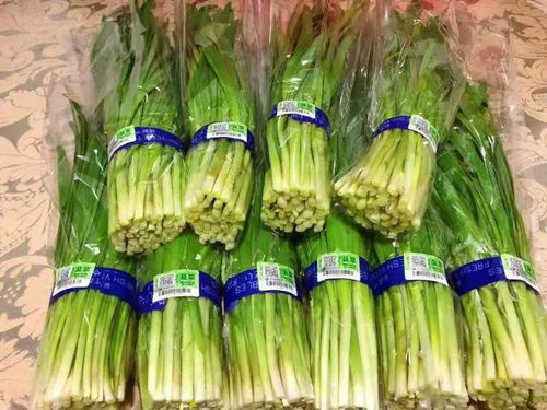 创建农产品质量安全省 | 第16期 莱州市 夯实监管责任，护航食用农产品初加工安全