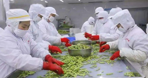 创建农产品质量安全省 第13期 | 临沂市 聚焦初加工环节，筑牢农产品质量安全防线