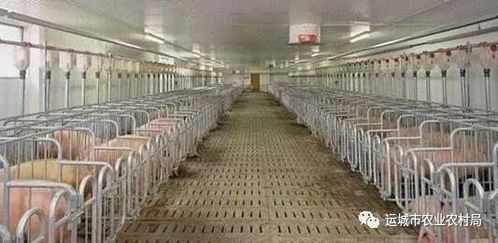 关于印发运城市试行食用农产品合格证制度实施方案的通知