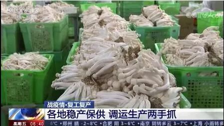张掖稳产保供战疫情 食用农产品初加工筑牢民生防线